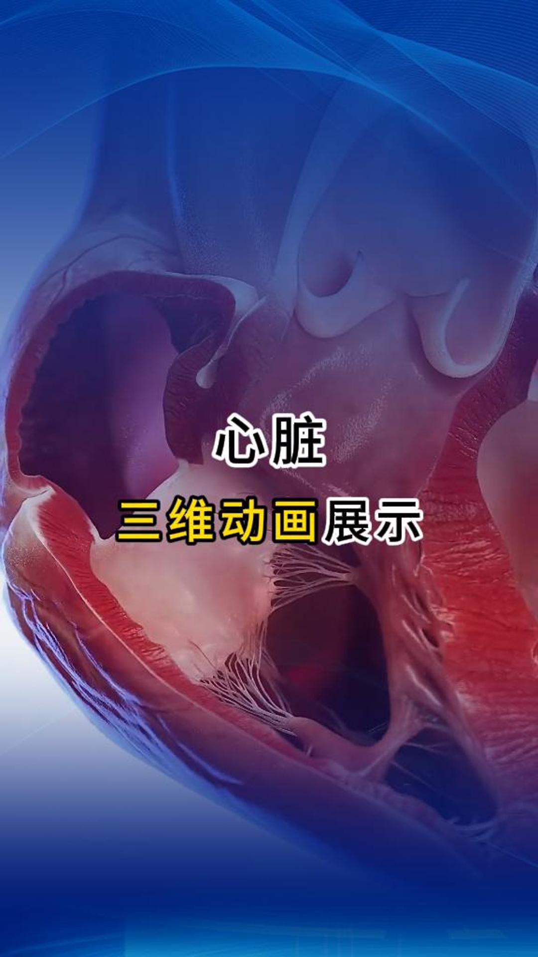 來自心臟的告白！醫(yī)療三維動畫-三維動畫制作公司-華匠科技